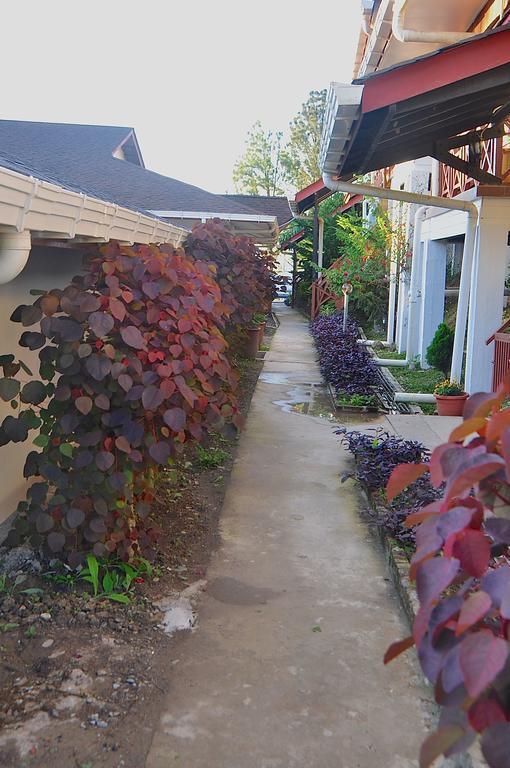 Nabalu Kampong Kundassan Exterior foto